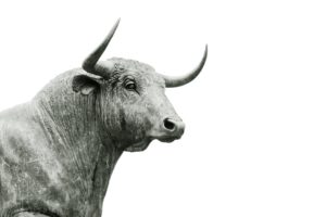 bull-918893_1920