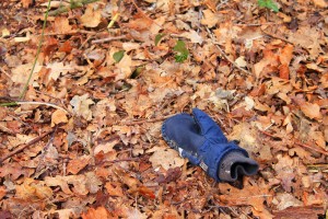 glove-319928_1280
